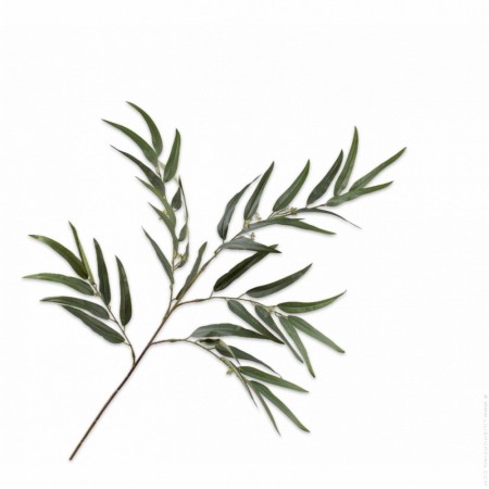 Green branch 123 cm