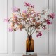 Branch of white blossom cherry