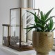 Boite en verre et laiton vieilli
