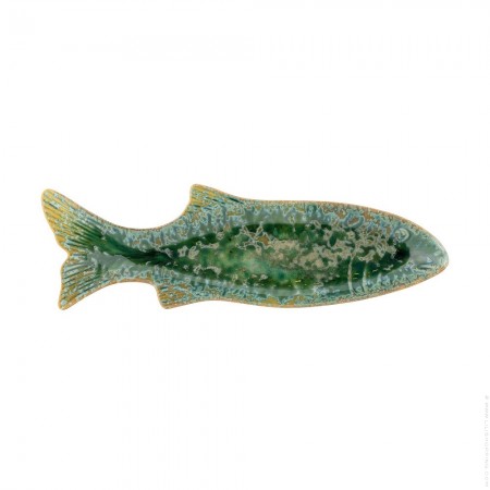 Plateau Hadden poisson