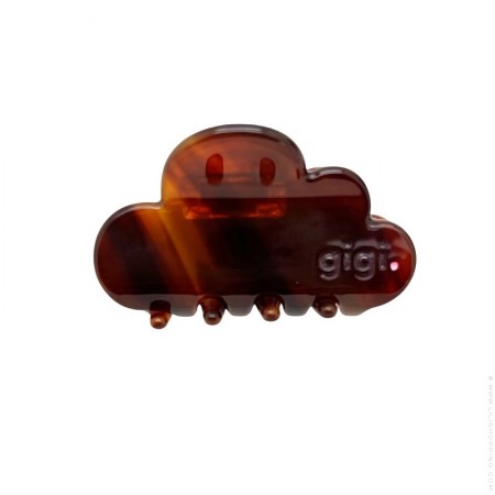 The dream Coffee Bean hairclip