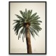 Palmtree 1 50 x 70 framed poster full size image