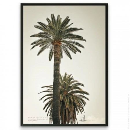Affiche encadrée Grand Palmier 2 noir 50 x 70 plein format Affiche encadrée Grand Palmier 2 noir 50 x 70 plein format