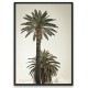 Affiche encadrée Grand Palmier 2 noir 50 x 70 plein format