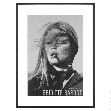 Tableau Brigitte Bardot