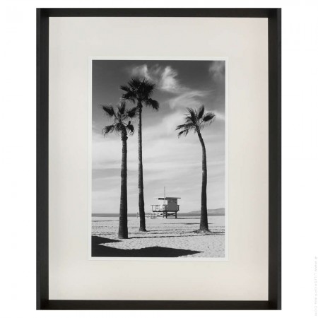 Palmtrees framed poster