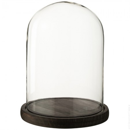 Glass dome on black wood base