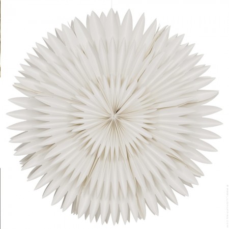 Champagne and off ivory 60 cm star