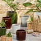 13 cm meadow blossom conical flower pot