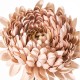 Fleur artificielle chrysanthème vieux rose