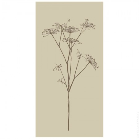 Serviettes en papier fleurs ombelle (pack de 16)