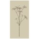 Serviettes en papier fleurs ombelle (pack de 16)