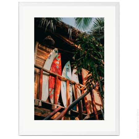 Cactus Shadow 50 x 70 framed poster