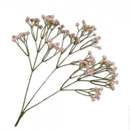 Branch of gypsophila spray pink