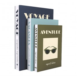 Set of 3 decorative book boxes