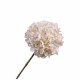 50 cm cream hydrangea