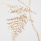 Golden branched grass 119 cm