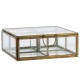 Glass and antique brass jewel box