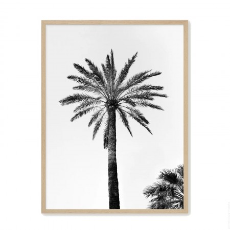 Black and white big palmtrees NB 4 18 x 25 cm framed poster