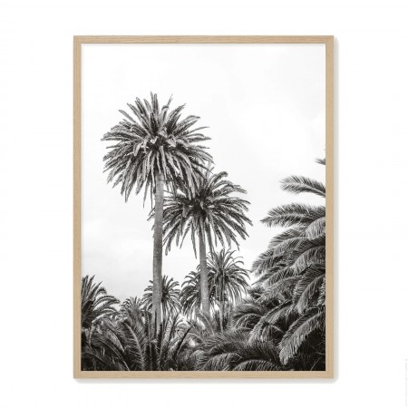 Affiche encadr&eacute;e Haria 18 x 25 cm