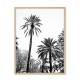 Black and white big palmtrees NB 3 18 x 25 cm framed poster