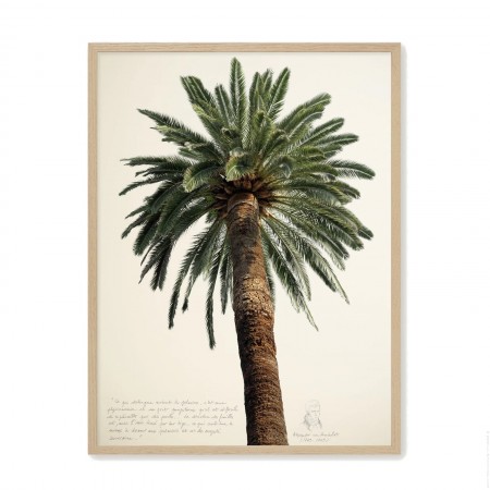 Black and white vintage big palmtrees 1 18 x 25 cm framed poster