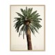 Black and white vintage big palmtrees 1 18 x 25 cm framed poster