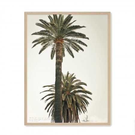 Black and white vintage big palmtrees 2 18 x 25 cm framed poster
