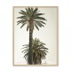 Black and white vintage big palmtrees 2 18 x 25 cm framed poster