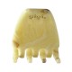 La mini pince Latte