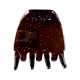 La mini pince Toffee