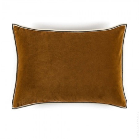 Coussin Aristote dor&eacute; 55 x 40 cm