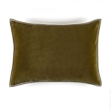 Aristotle army cushion