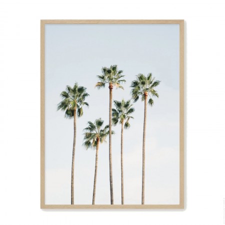 Affiche encadr&eacute;e Regal palm trees 18 x 25 cm