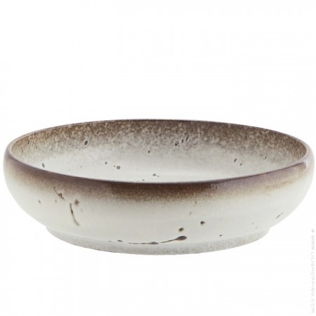 Bol en gr&egrave;s mouchet&eacute;e