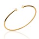 Gold platted bangle with 2 white zirconium