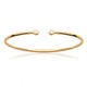 Gold platted bangle with 2 white zirconium