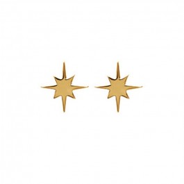 Boucles d'oreilles puce étoile plaquée or