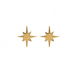 Gold platted star earrings