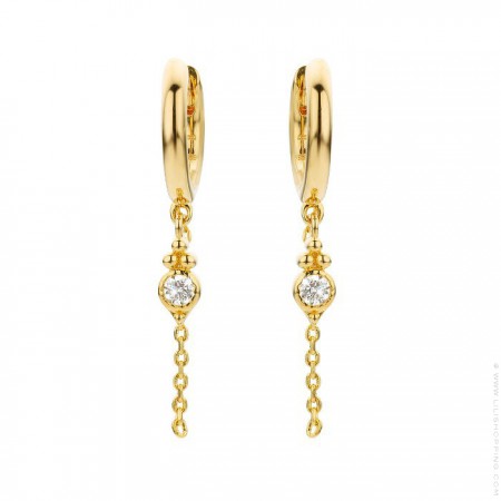 North star gold platted earrings