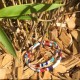 Bracelet INKA™ Lagon