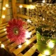 20 micros Led garland - 2 m