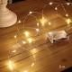 20 micros Led garland - 2 m