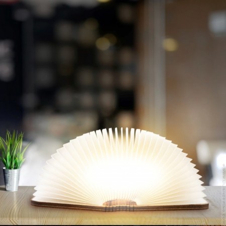Maple wood book lamp - small size