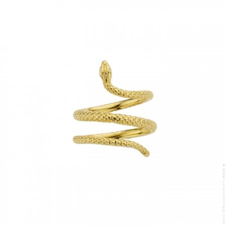 Brooklyn gold Plated Ring