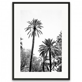 Black and white large palmtrees framed poster
