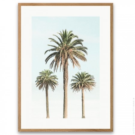 Black and white large palmtrees framed poster