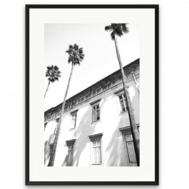 Black and white architectural palmtrees framed poster