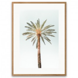 Lonely palmtree framed poster