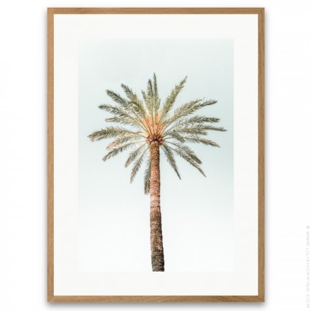 Affiche encadrée 3 palmiers vintage